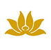 VN