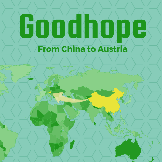 LCL sea freight and rail freight from China to Austria in 2025