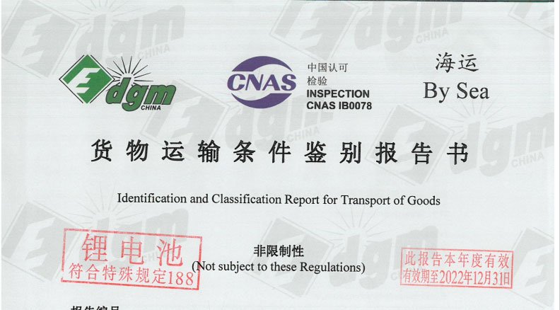 dgm china
