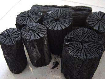 Charcoal of animal or vegetable origin