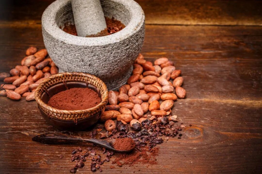 Cocoa Powder