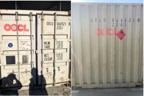 Container with mixed cargo using only Limited Quantity mark instead of full placards