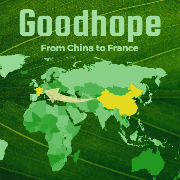 2026 current FCL freight price list from China to France