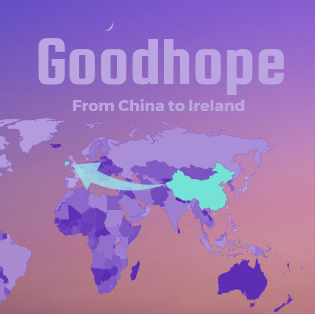 2026 The most comprehensive container shipping FCL quotation from China to Ireland