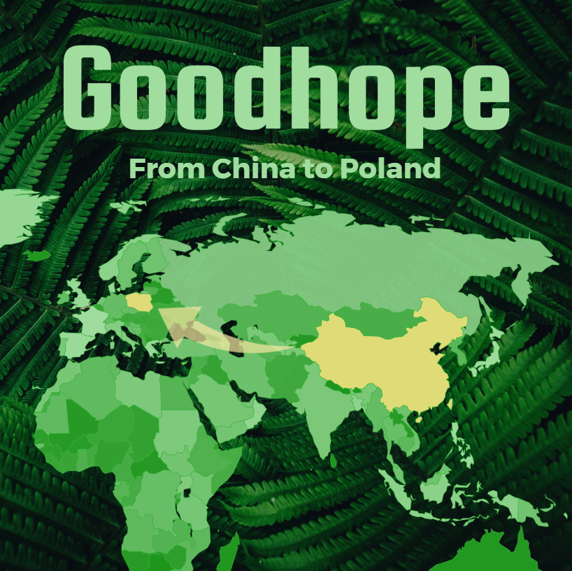 2025 current FCL freight price list from China to Poland