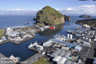 Vestmannaeyjar Port (Vestmannaeyjar)