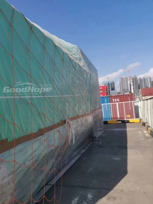 Brown Marmorated Stink Bug