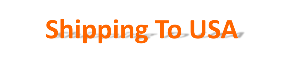 shipping from China to usa