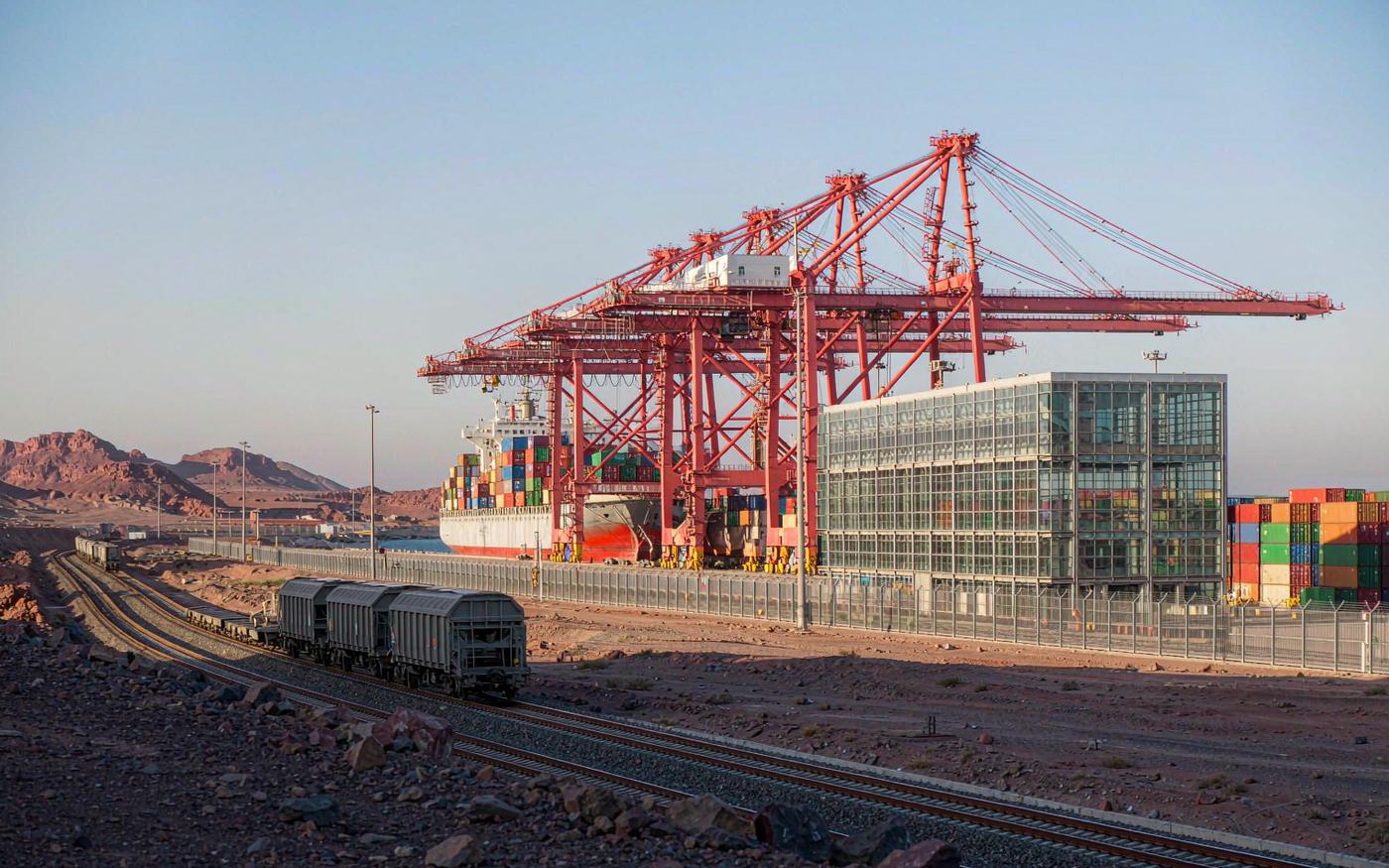 Doraleh container terminal at the Port of Djibouti with gantry cranes, stacked containers and a freight railway
