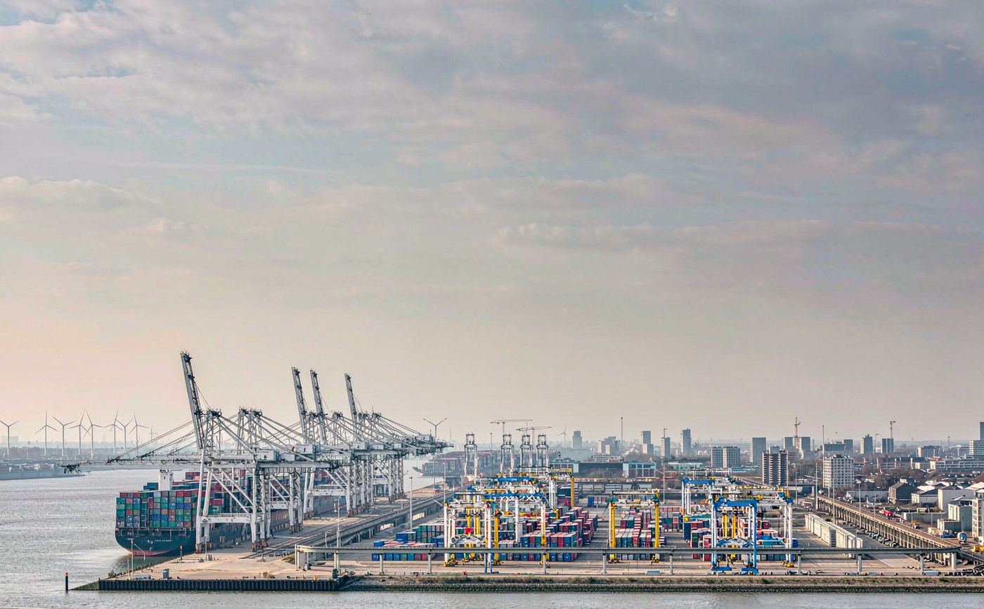 Automated container terminal at the Port of Rotterdam with ship-to-shore gantry cranes, stacked containers and a vessel berthed alongside