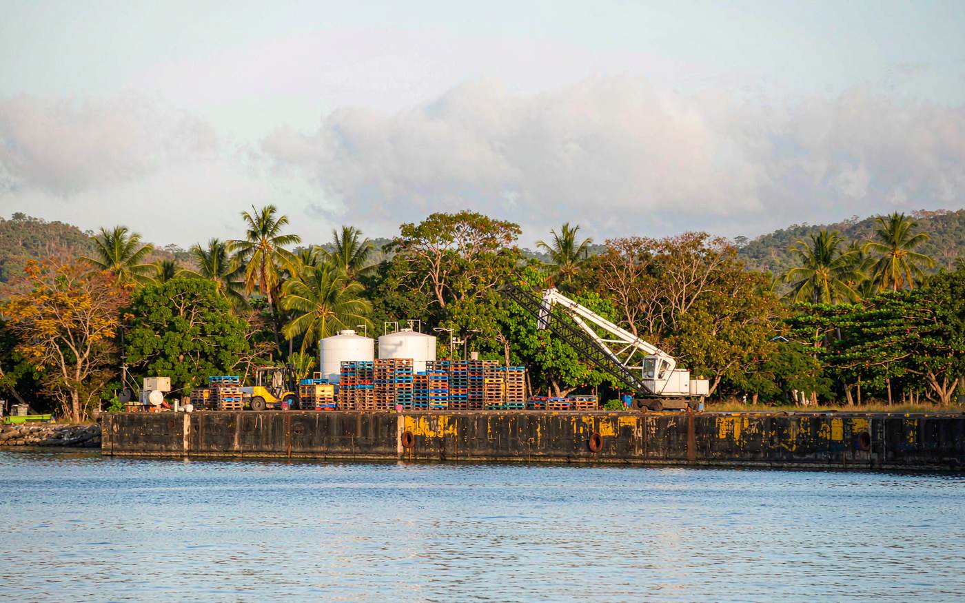 Small Polynesian container berth with a modest crane, stacked containers and palletised cargo, a coastal cargo vessel alongside, palm trees and low green hills behind