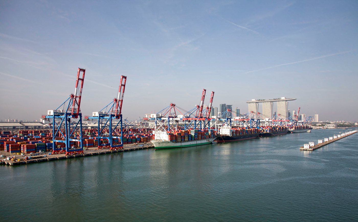 Port of Singapore container terminal in clear daylight, a vast working quay with rows of tall gantry cranes and dense stacks of shipping containers, large container vessels berthed, distant skyline of towers and low industrial buildings, calm tropical harbour water