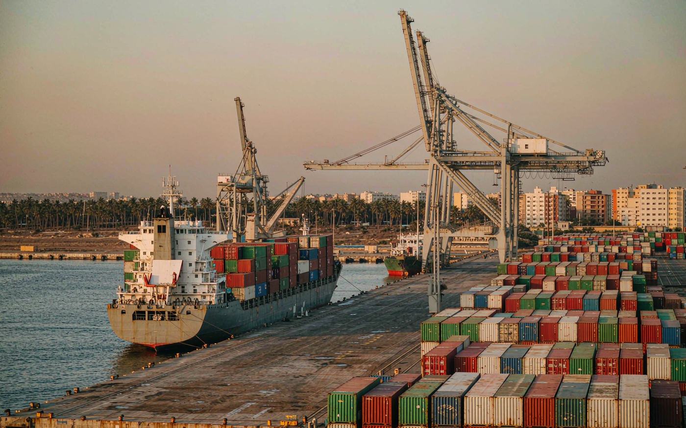 East African Indian Ocean container harbour with gantry cranes, stacked containers and palm trees behind