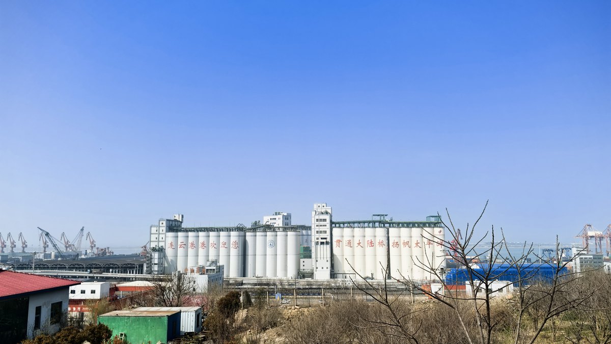 EVERGREEN container truck at Tianjin Port, China — current 20ft 40ft 40HQ sea freight from China to Spain